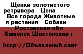 Щенки золотистого ретривера › Цена ­ 15 000 - Все города Животные и растения » Собаки   . Ростовская обл.,Каменск-Шахтинский г.